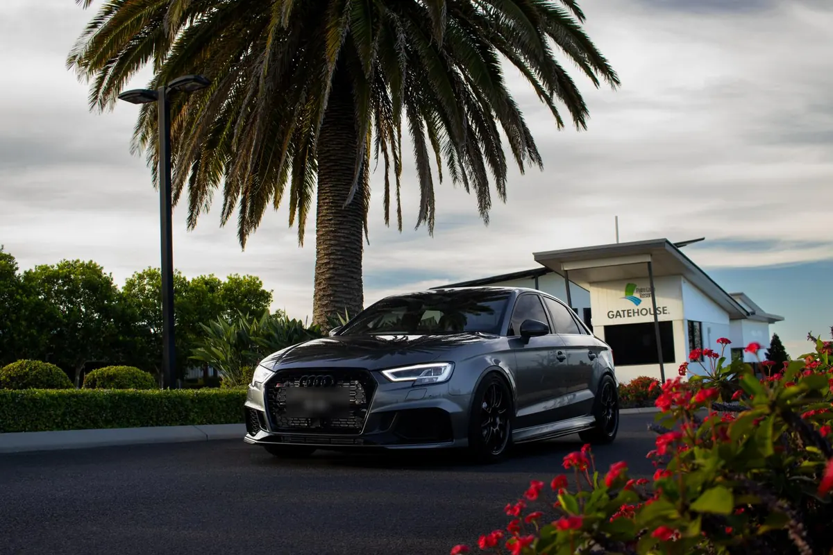 Grey Audi RS3 sedan detailed to a mirror finish under a palm tree